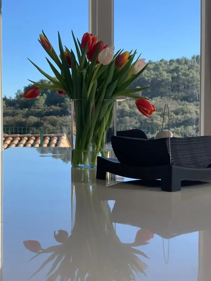 Villa Bonheur - Provence - Côte d'Azur Cabasse